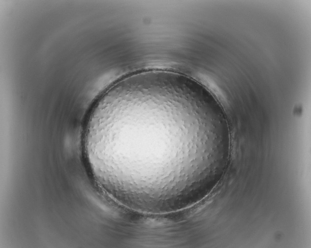 X0000093770346200710231316