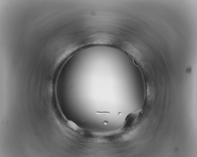 X0000093770348200710231316