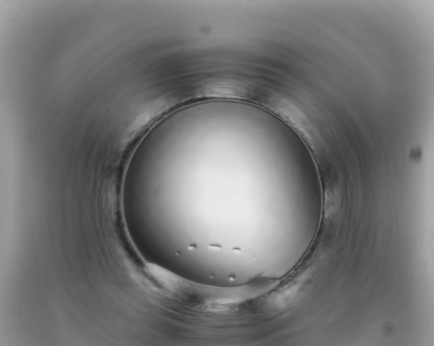 X0000093770349200710231317