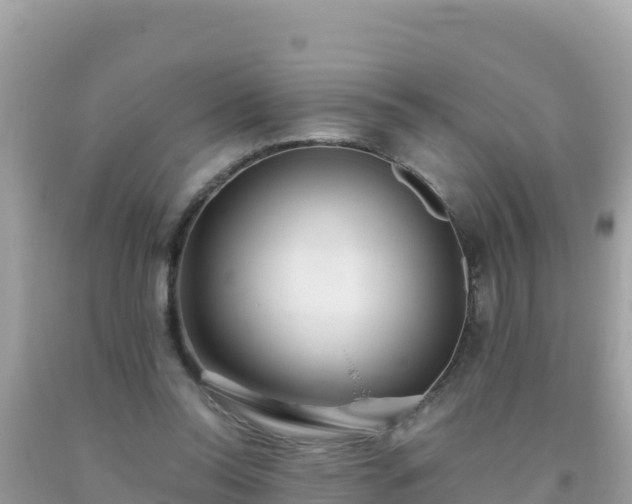 X0000093770350200710231317