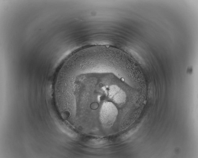 X0000093770351200710231317