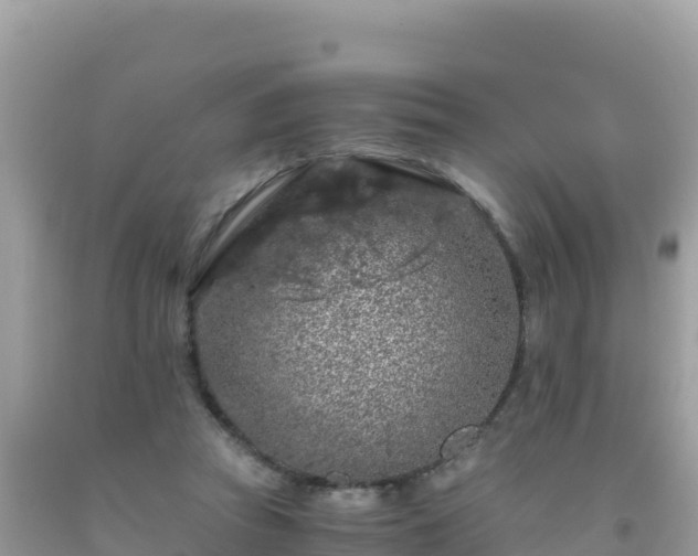 X0000093770353200710231317