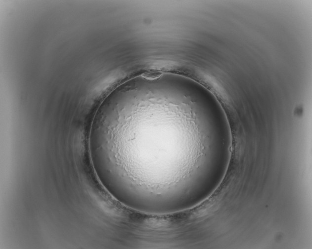 X0000093770354200710231317