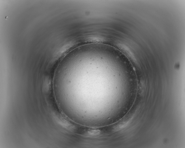 X0000093770355200710231317