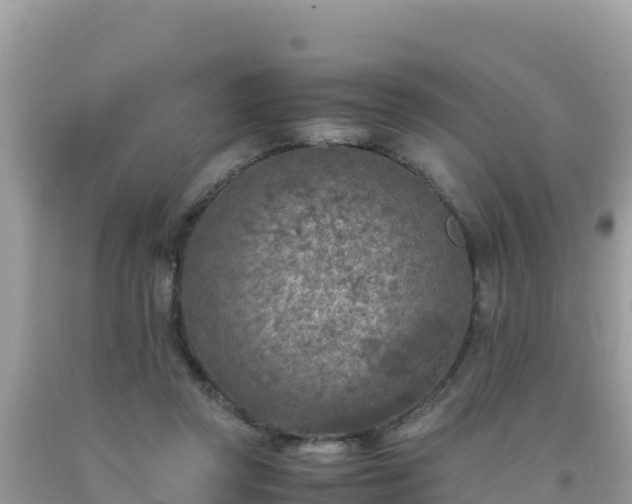 X0000093770357200710231317