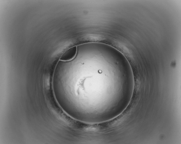 X0000093770358200710231317