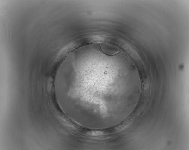 X0000093770361200710231317