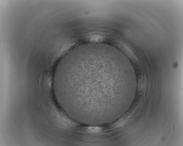 X0000093770363200710231317