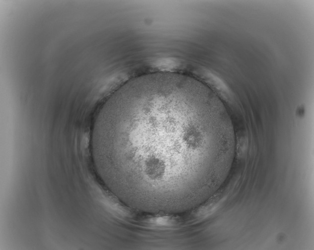 X0000093770365200710231317