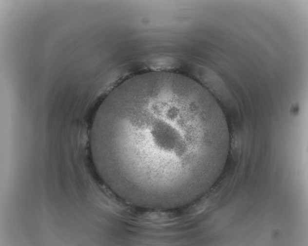 X0000093770367200710231317