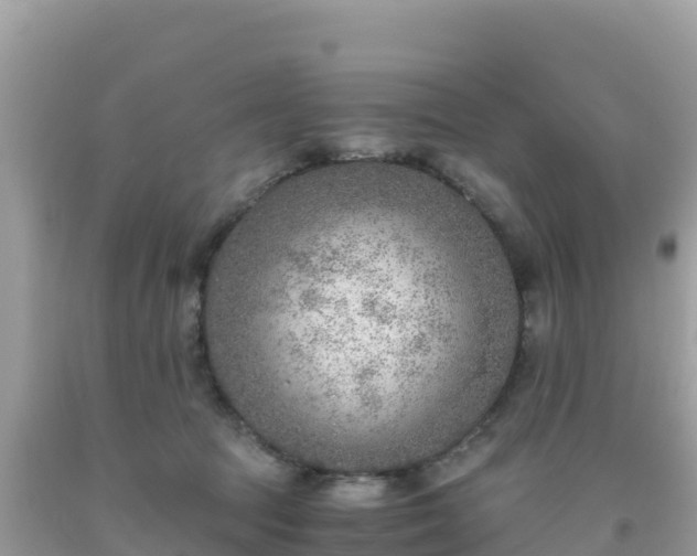 X0000093770369200710231317