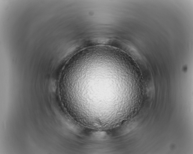 X0000093770374200710231317