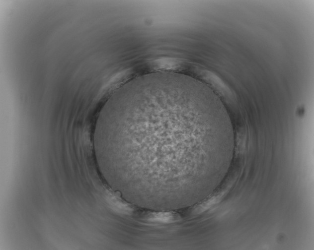 X0000093770377200710231317