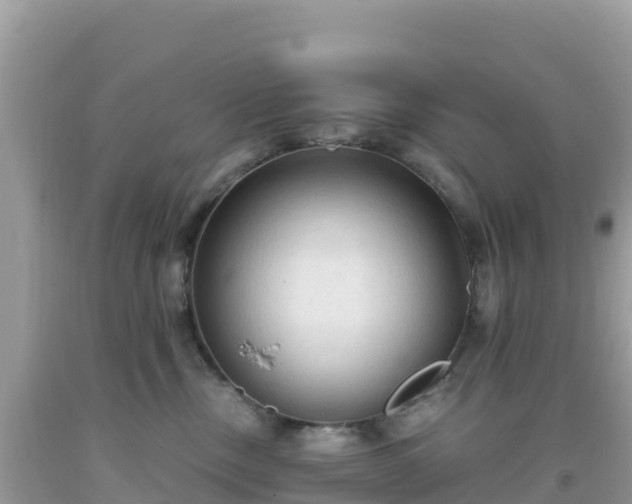 X0000093770378200710231317