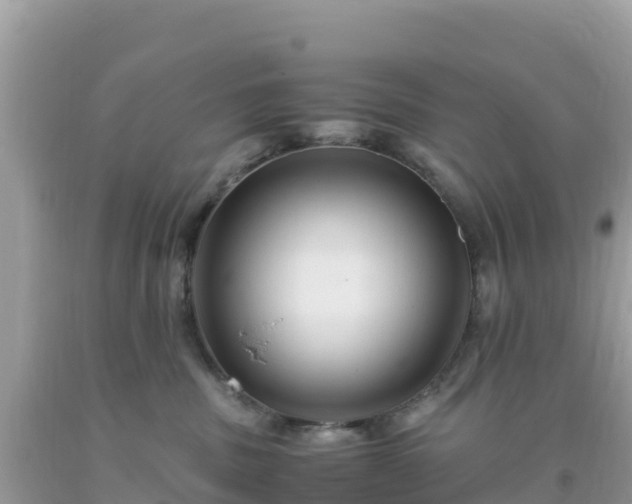 X0000093770379200710231317