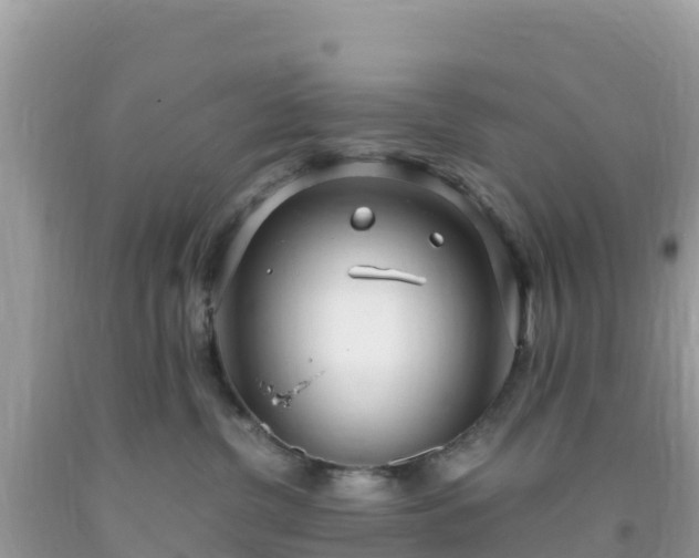 X0000093770380200710231317