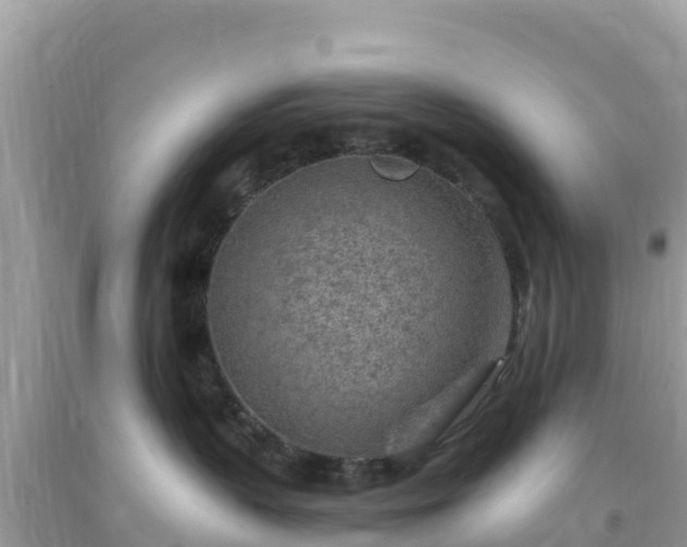 X0000093770383200710231317