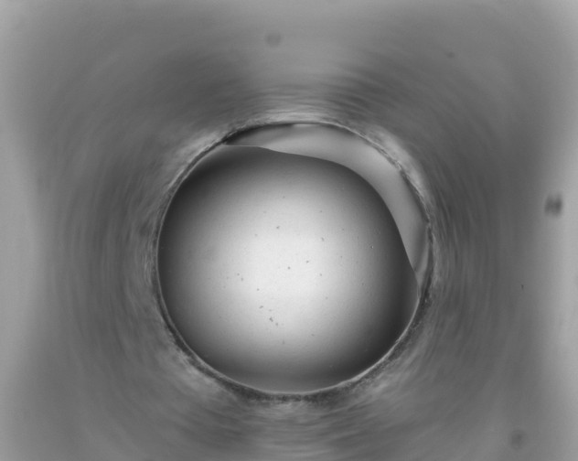 X0000093770385200710231316