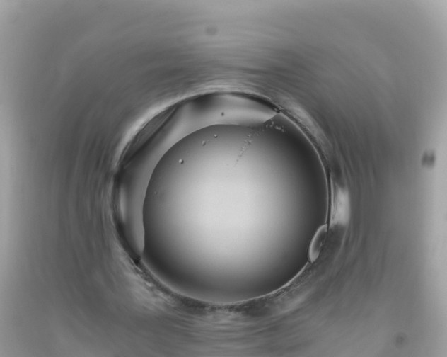 X0000093770387200710231316