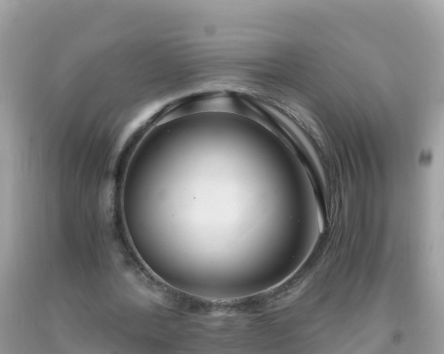 X0000093770388200710231316