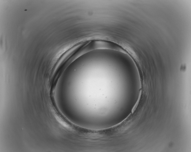 X0000093770389200710231316