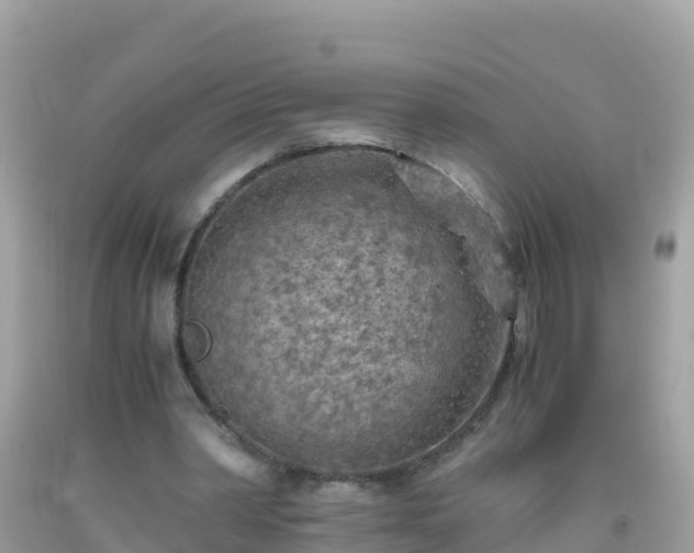 X0000093770390200710231316