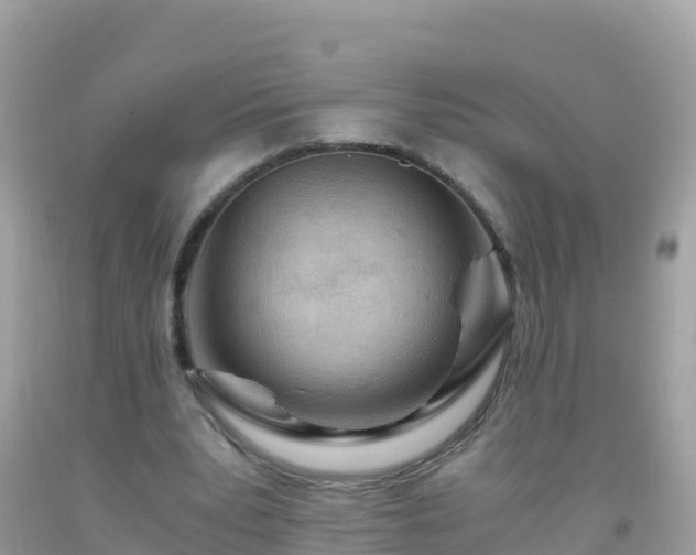 X0000093770391200710231316