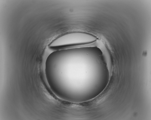 X0000093770393200710231316