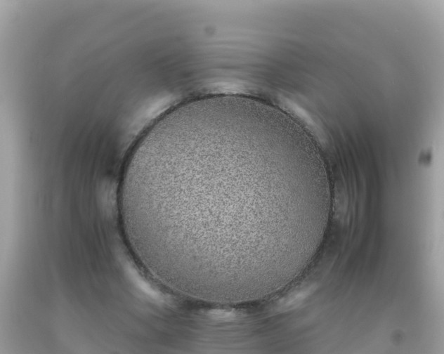 X0000093770394200710231316