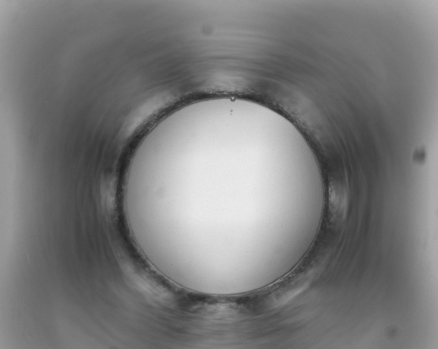 X0000093770396200710231316