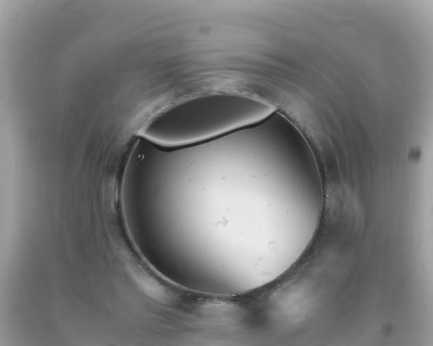 X0000093770397200710231316