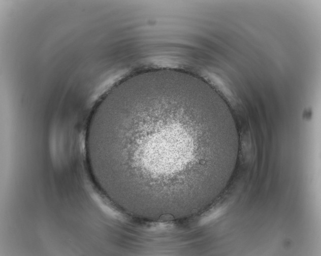 X0000093770398200710231316