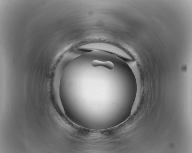 X0000093770399200710231316