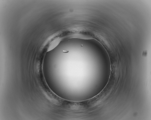 X0000093770400200710231316