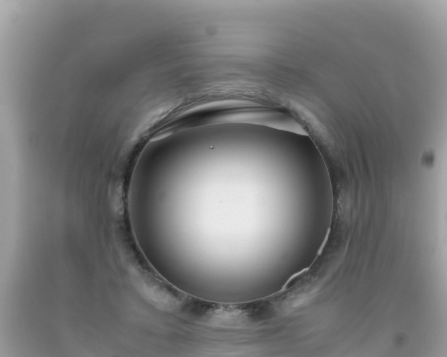 X0000093770403200710231316