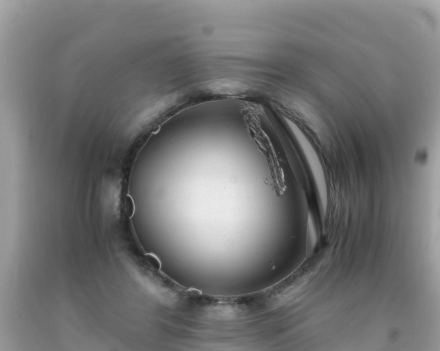 X0000093770404200710231316