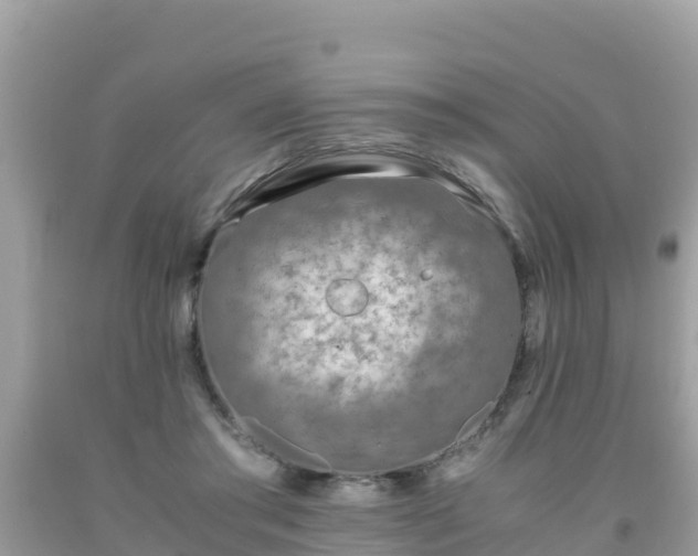 X0000093770405200710231316