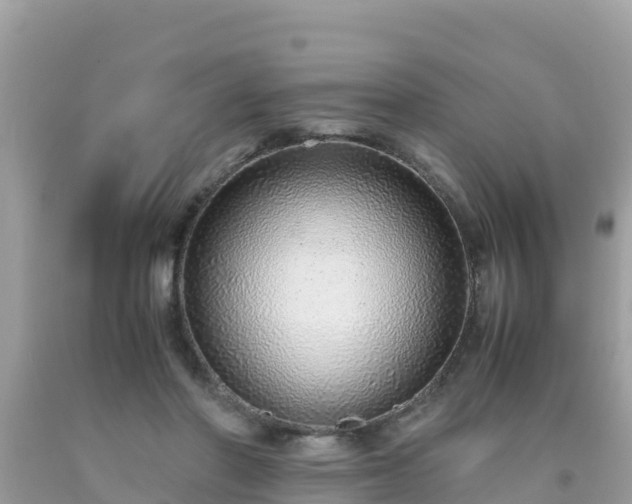 X0000093770406200710231316