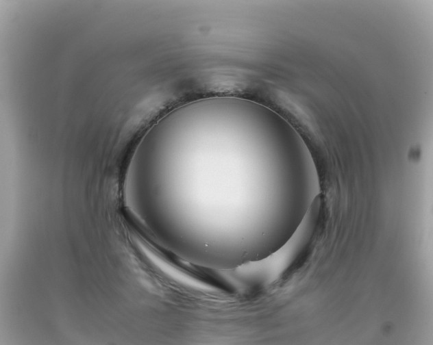 X0000093770407200710231316