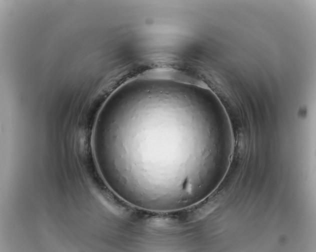 X0000093770408200710231316