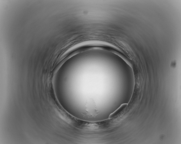 X0000093770409200710231316