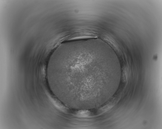 X0000093770410200710231316