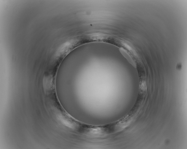 X0000093770411200710231316