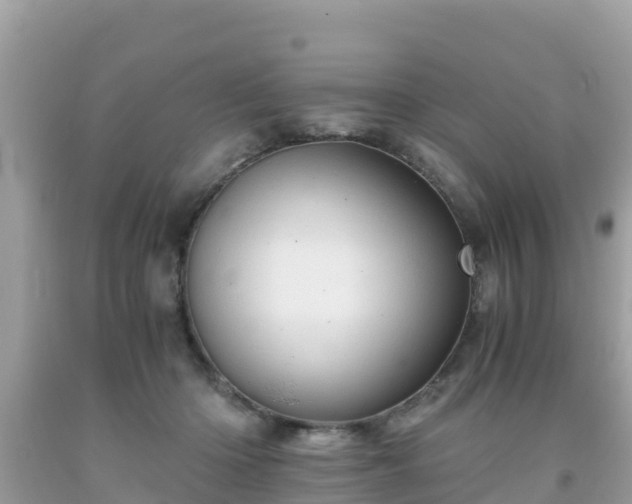 X0000093770414200710231316