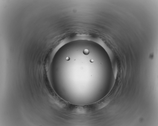 X0000093770416200710231316