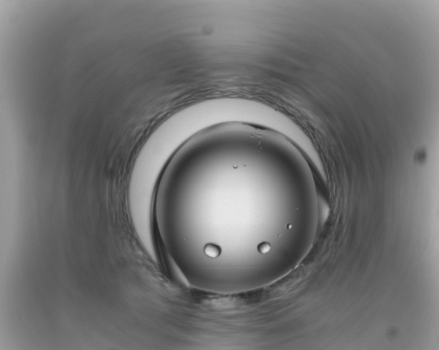 X0000093770417200710231316