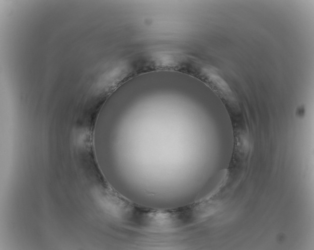 X0000093770419200710231316