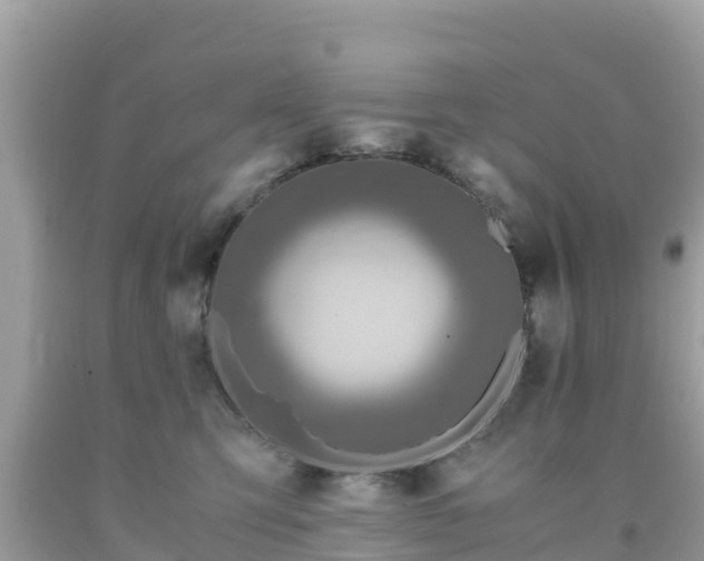 X0000093770423200710231316