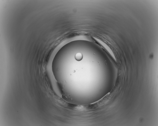 X0000093770425200710231316