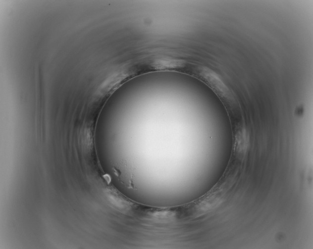 X0000093770426200710231316